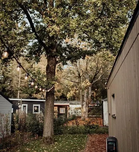 Woud Tiny House Dom wakacyjny