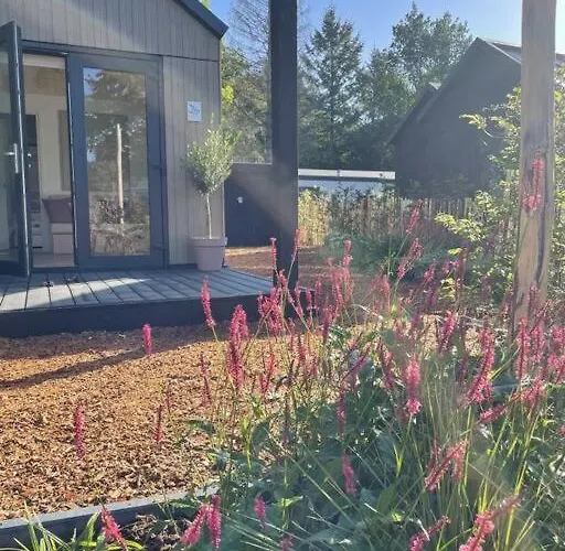 Woud Tiny House Epe