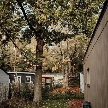Woud Tiny House Vakantiehuis