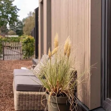 Woud Tiny House *